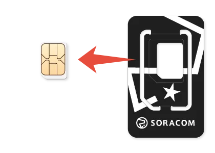 Extract SIM