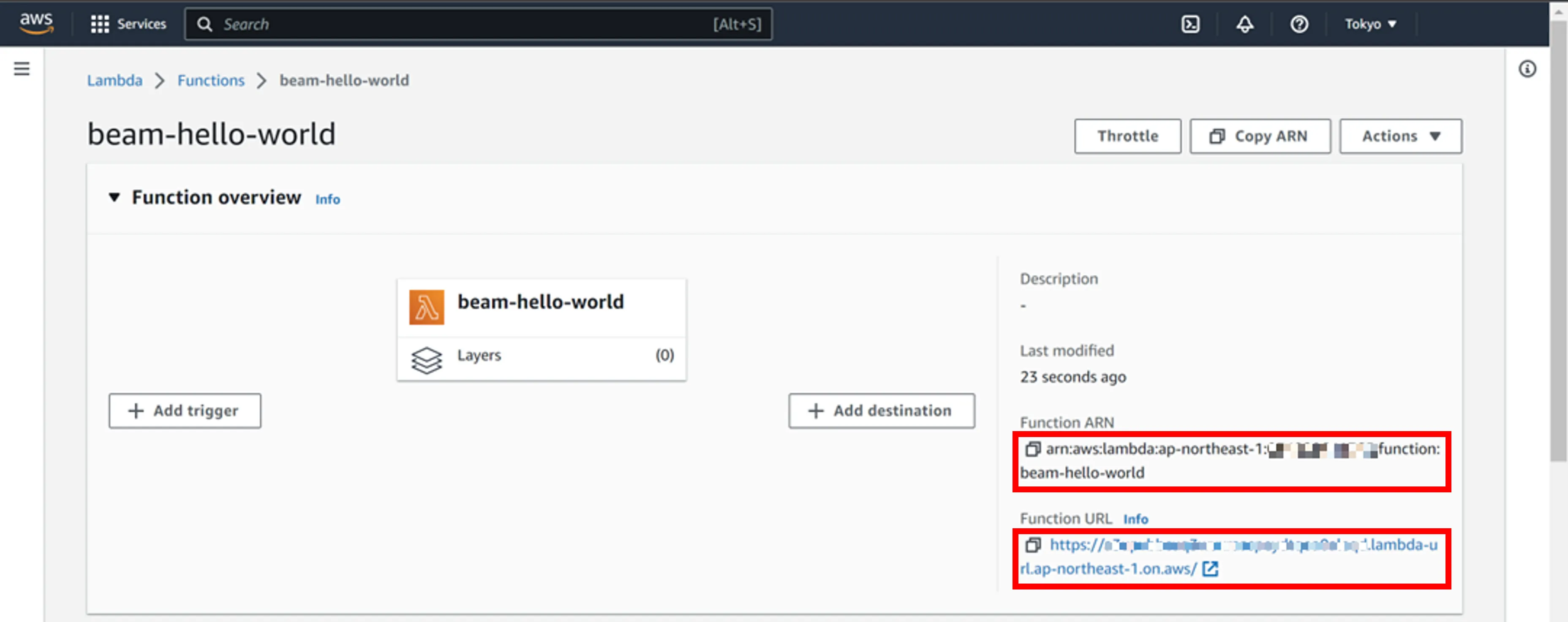 Function ARN and URL Information